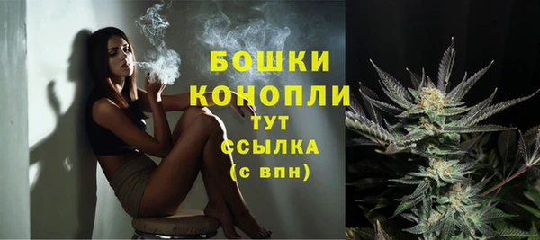 spice Нея