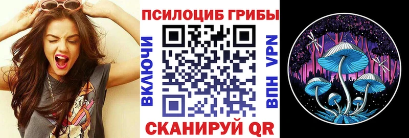 Псилоцибиновые грибы ЛСД  Северская 